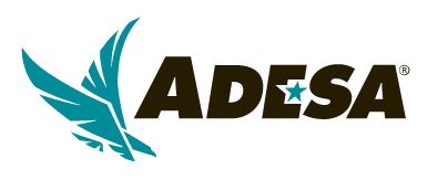 ADESA Rolls Out New Condition Reports
